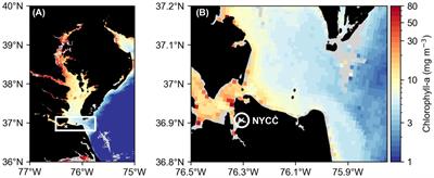 Diel vertical migration rates of the dinoflagellate species Margalefidinium polykrikoides in a lower Chesapeake Bay tributary